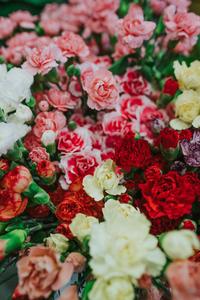 Celebrate Mothers Day with these lovely flowers! mothers day wallpaper