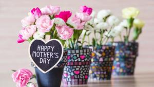 Celebrate mothers everywhere this Mothers Day! mothers day wallpaper