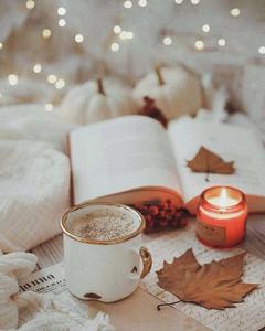 Celebrate the Arrival of Autumn with a Nature Walk fall aesthetic wallpaper