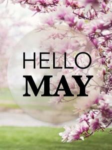 Celebrate the beauty of May with a bright and blooming flower may wallpaper