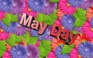 Celebrate the beauty of May with vibrant flowers may wallpaper