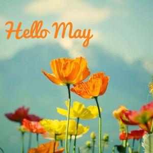 Celebrate the Bloom of May may wallpaper