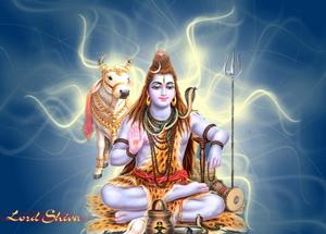 Celebrate the eternal grace of Lord Shiva lord shiva wallpaper
