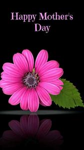 Celebrate the special bond between a mother and child with a gift of love this Mother's Day! mothers day wallpaper