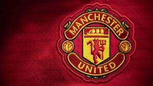 Celebrating a fantastic victory of the Red Devils manchester united wallpaper