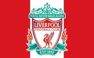 Celebrating Liverpool's success