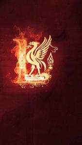 Celebrating the Best of Liverpool Football Club liverpool wallpaper