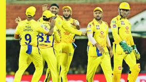 Celebrating the Passion of CSK - Chennai Super Kings Wallpaper csk wallpaper