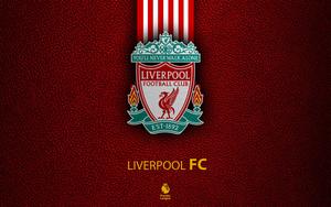 Celebrating the success of Liverpool F.C. liverpool wallpaper