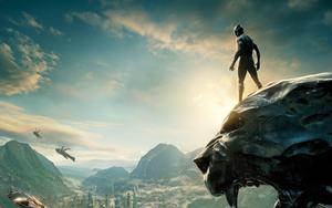 Chadwick Boseman in the Marvel Cinematic Universe's "Black Panther" movie wallpaper