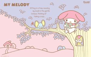 Charming My Melody Blossom Background my melody wallpaper