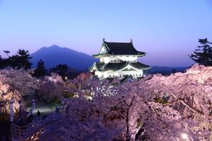 Cherry Blossom Against Hirosaki Castle Picture cherry blossom wallpaper