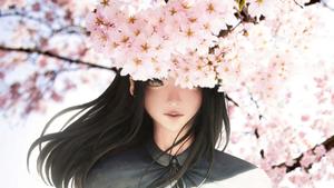 Cherry Blossom Background cherry blossom wallpaper
