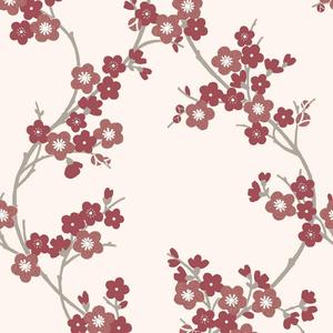 Cherry Blossom Flowers cherry blossom wallpaper