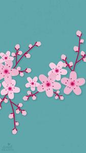 Cherry Blossom Flowers Art cherry blossom wallpaper