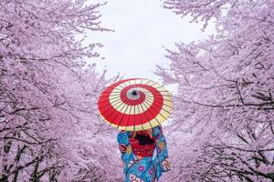 Cherry Blossom pictures cherry blossom wallpaper
