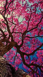 Cherry Blossoms iPhone 11 iphone 11 wallpaper