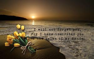 Christian Bible Verse christian wallpaper