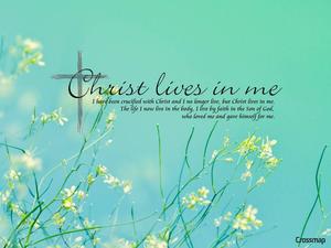 Christian Verse Teal Floral christian wallpaper