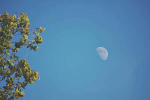 Clear Blue Sky Moon Picture moon wallpaper