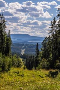Climb new heights in a fresh forest landscape landscape wallpaper