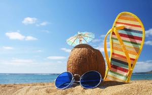 Coconut Cute Summer Photo cute summer wallpaper