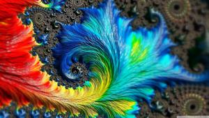 Colorful Feather Fractal 1440p wallpaper