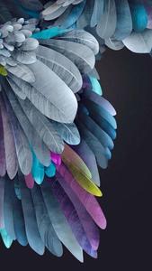 Colorful Feathers iPhone 11 iphone 11 wallpaper