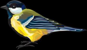 Colorful Great Tit Illustration Wallpaper