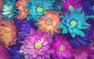 Colorful Neon Flower flower wallpaper