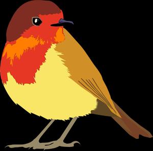 Colorful Robin Illustration Wallpaper