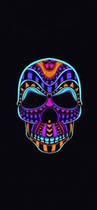 Colorful Skull iPhone 12 iphone 12 wallpaper