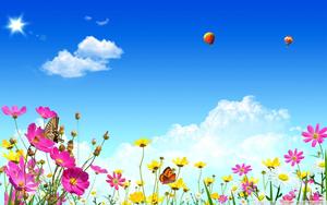 Colorful Wildflowers During Spring spring wallpaper