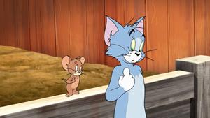 Confused Tom And Jerry tom and jerry wallpaper