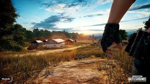 Conquer your opponents with style! pubg wallpaper