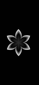Cool Flower Art iPhone Dark iphone dark wallpaper