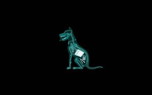 Cool Funny Dog X-ray funny wallpaper