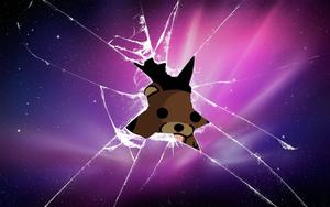Cool Glass With Pedobear cool wallpaper
