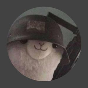 Cool Llama Looking Cool In His Cap unique cool pfp wallpaper