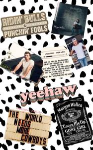 Country Music's Rising Star - Morgan Wallen morgan wallen wallpaper