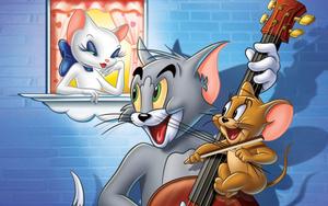 Courting Tom And Jerry Cartoon tom and jerry cartoon wallpaper