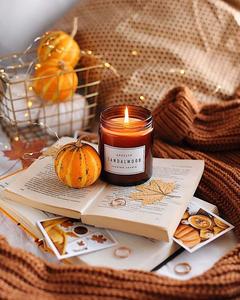 Cozy Autumn vibes. fall aesthetic wallpaper