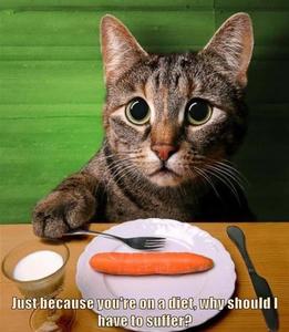 Cracking up! funny wallpaper