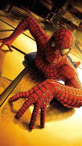 Crawling Spider Man Iphone spider man iphone wallpaper