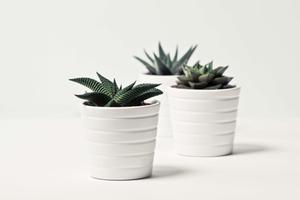 Create a calming and inspiring atmosphere at home with a simple white aesthetic. white aesthetic wallpaper