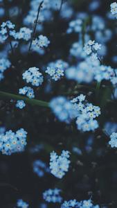 Create a life you love with a splash of blue aesthetic blue aesthetic wallpaper