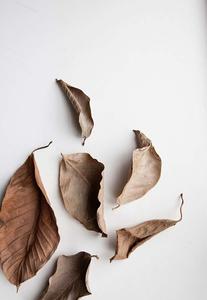 Create a minimalist and calming atmosphere with white aesthetic. white aesthetic wallpaper