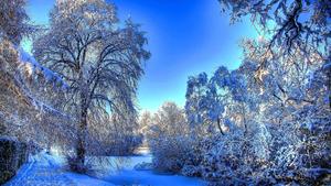 Create a sense of serenity with this beautiful blue-themed aesthetic Wallpaper