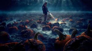 Creepy Pumpkin Halloween Pictures halloween wallpaper