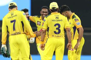 CSK team celebrating victory with their roaring gold and yellow spirit csk wallpaper